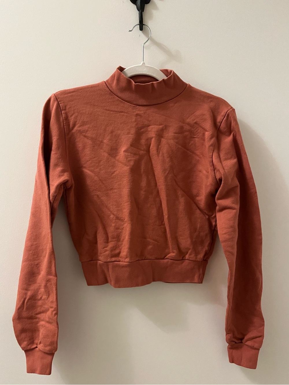 Salmon Pink/Rust Cropped Mock Neck Sweatshirt